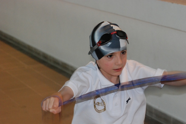 Izvorani 2011